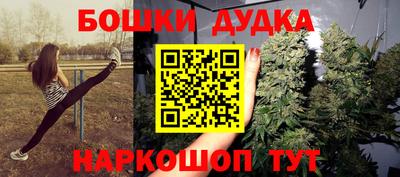 тгк Бийск
