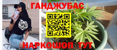 тгк Бийск